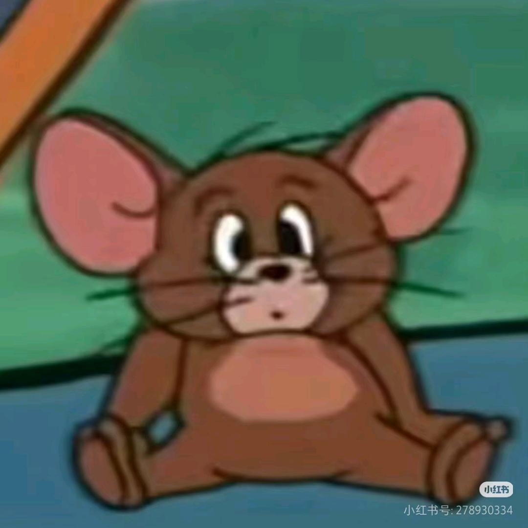 小杨不会摄影📸