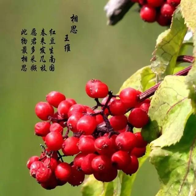 感恩