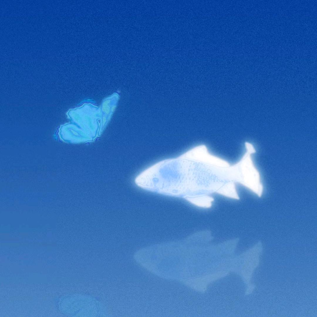 Twilight丨全球热恋🌏