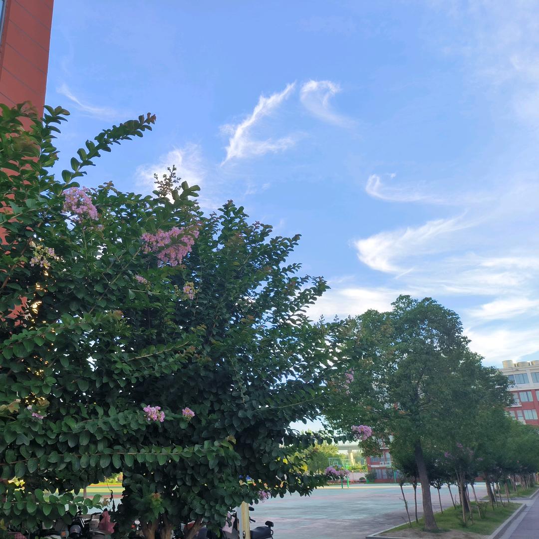 沙颍河畔
