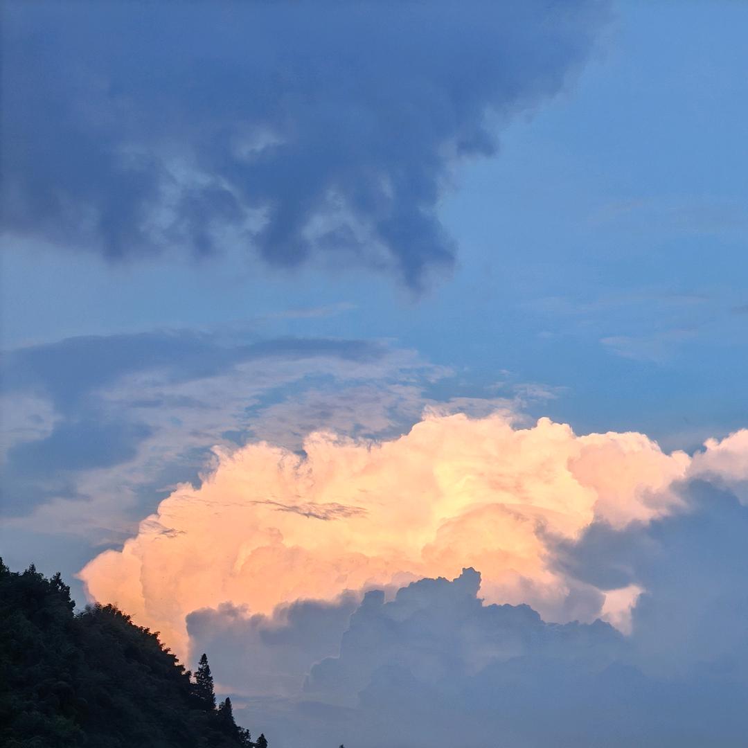 雨落青苔
