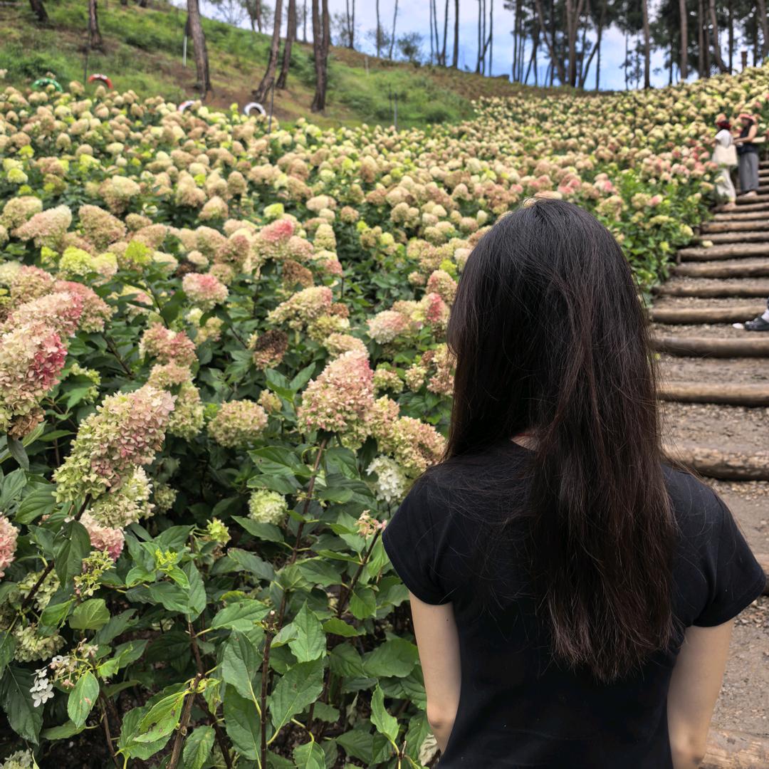 -不爱吃饭