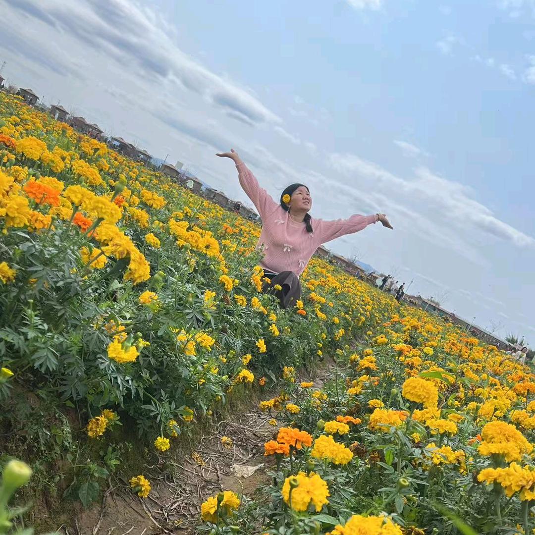 🌸陈家三小姐🌸