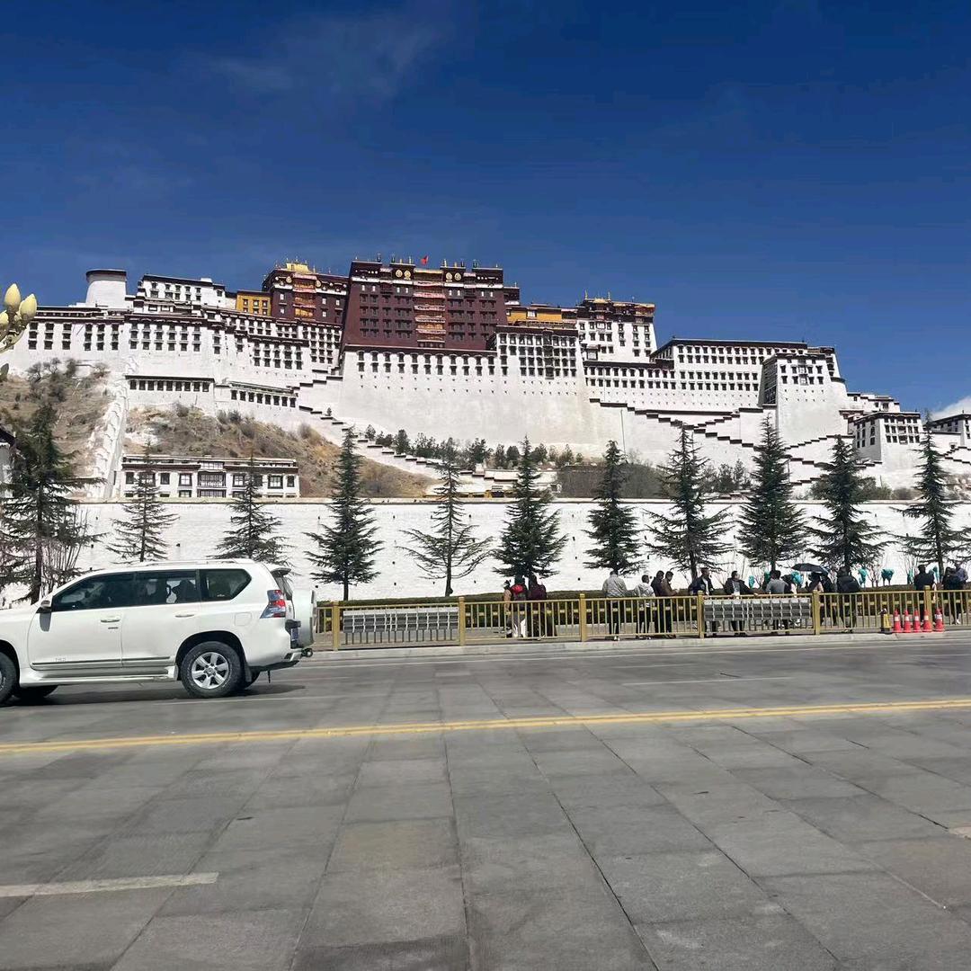 成都网约车阿雄吖