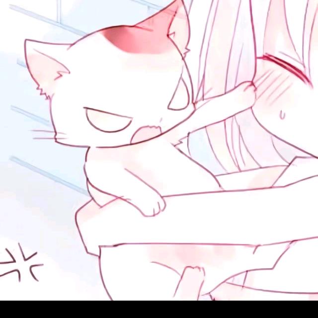 露宁新华