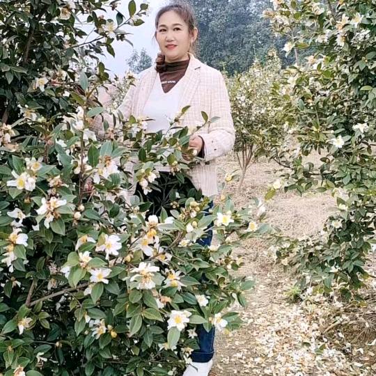 ᥫᩣᮨ້༚꯭    六姐᭄ꦿ࿐⁵