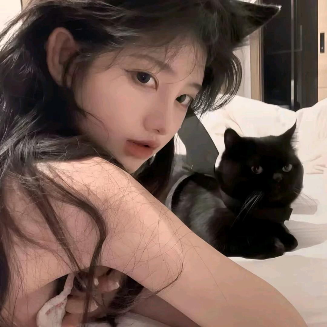 一只猫 ˗ˋˏ ˎˊ˗