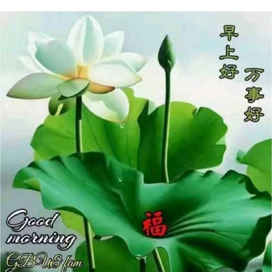 艳