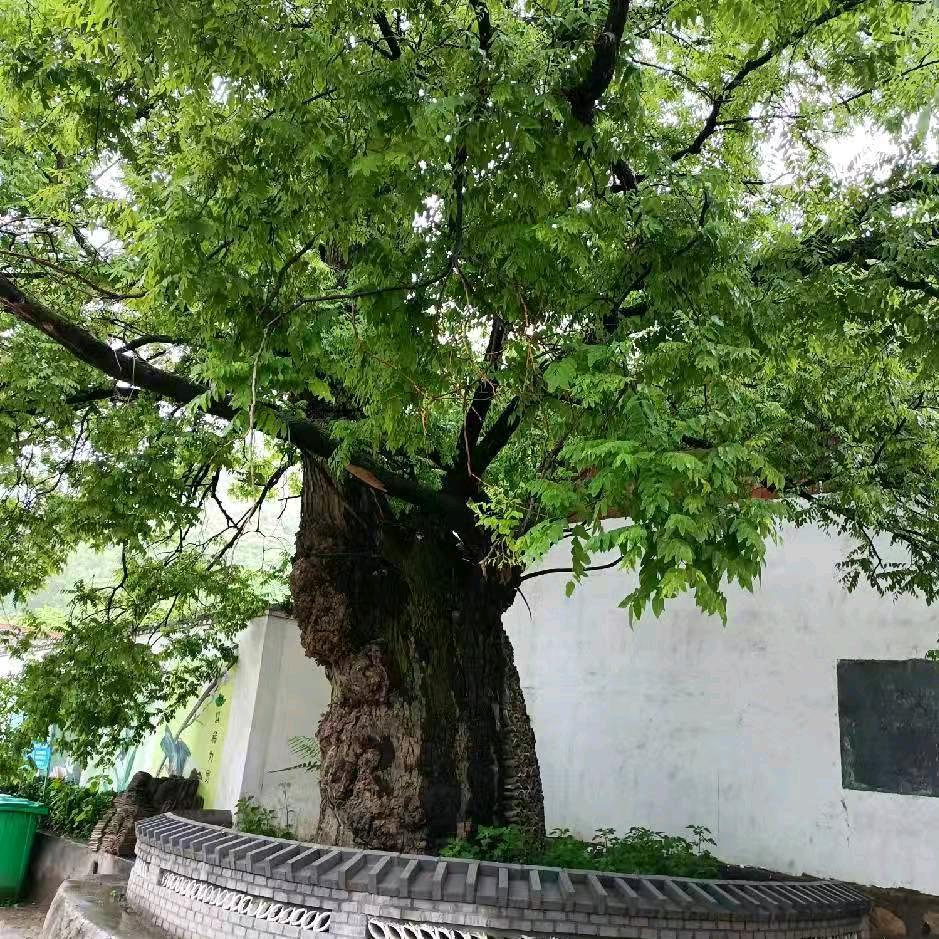 余生很贵，请勿別浪费