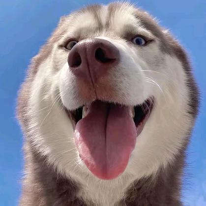 *^O^*