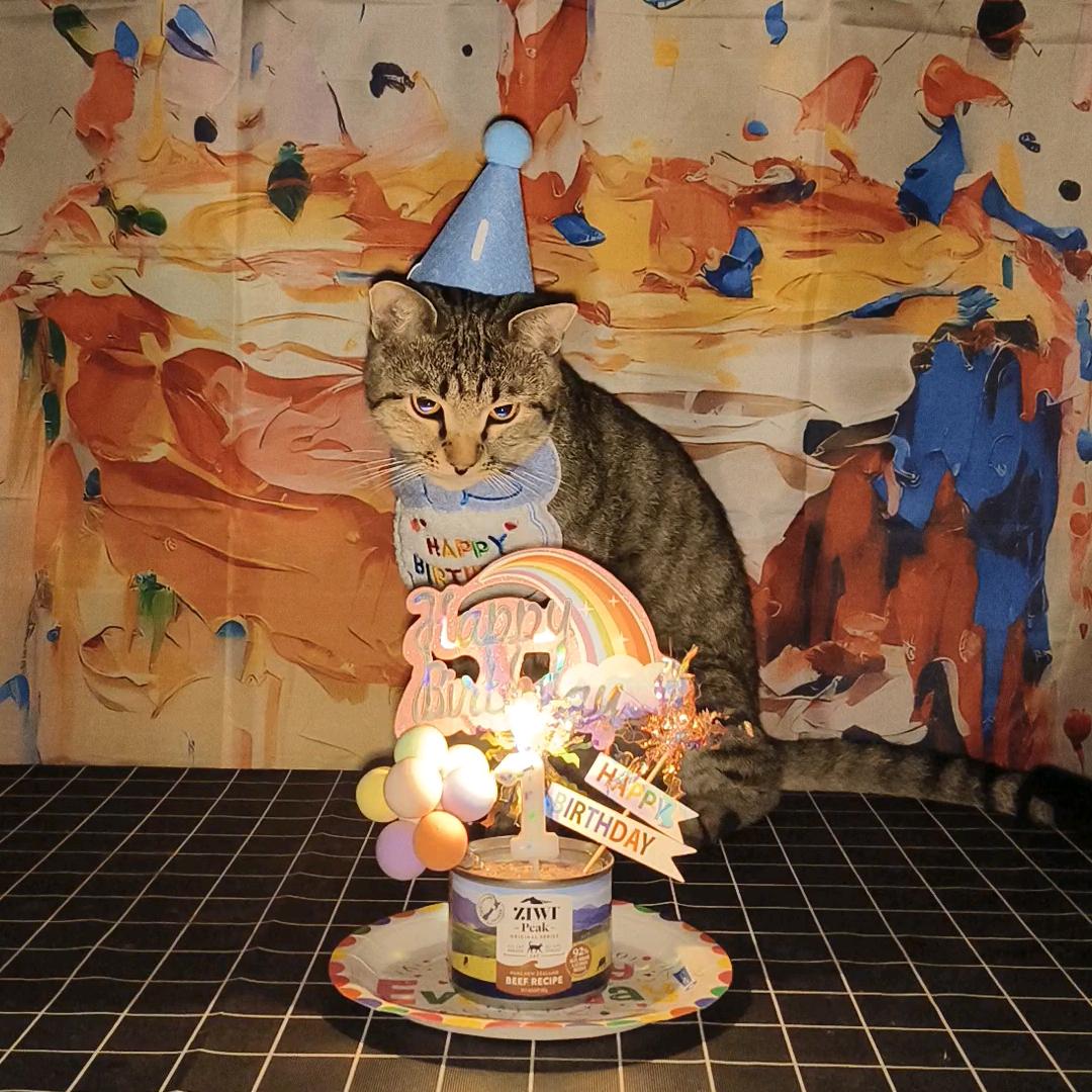 猫吒