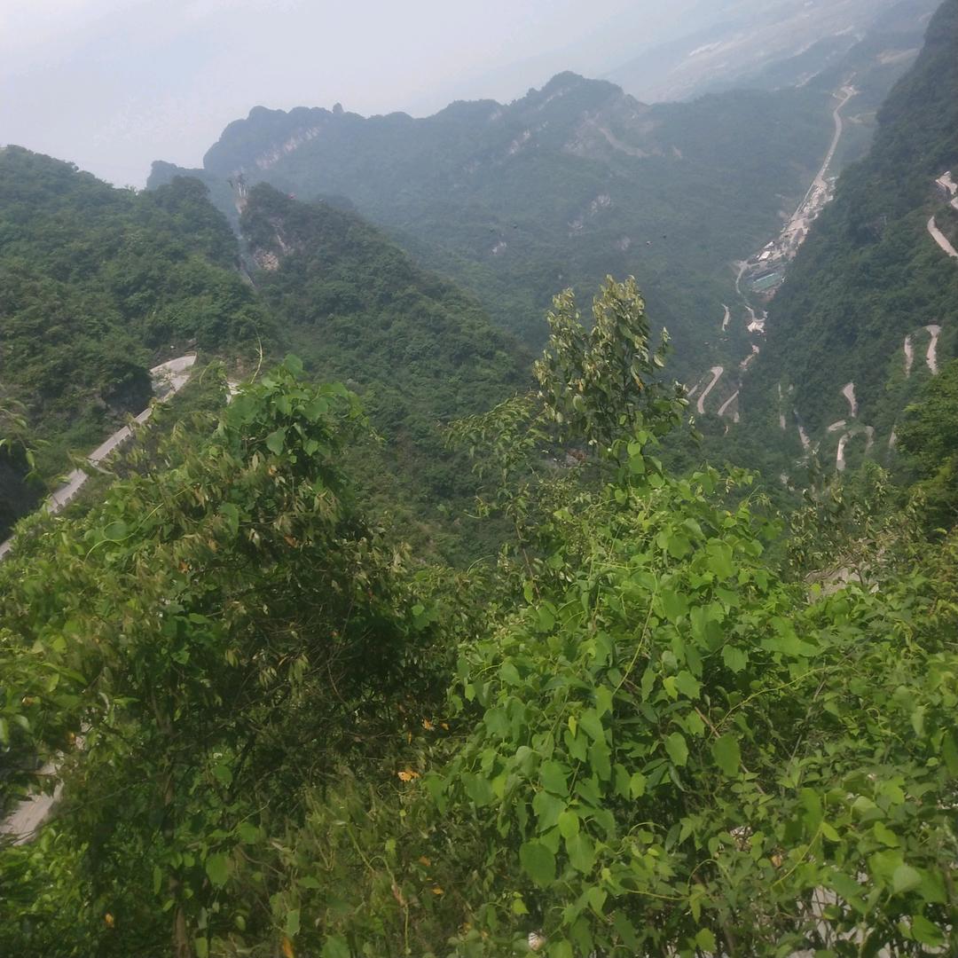 亮哥6