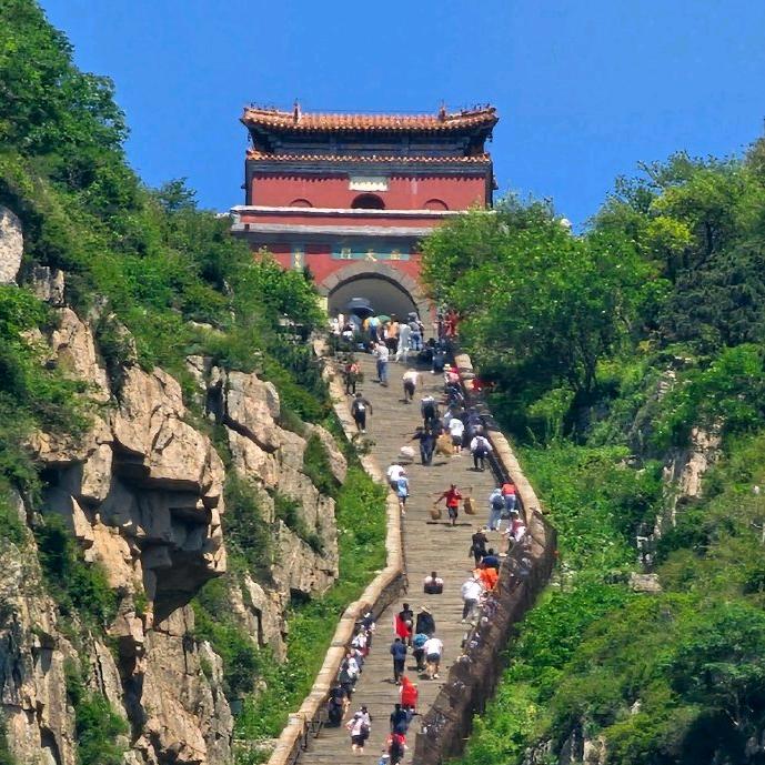 老猫《游泰山》