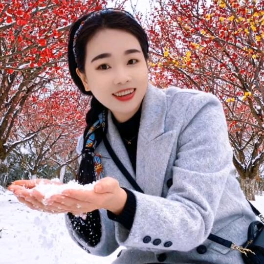 🌴单🍀只蝴蝶🌻