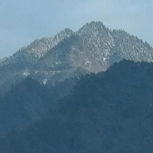 小彭没梦想
