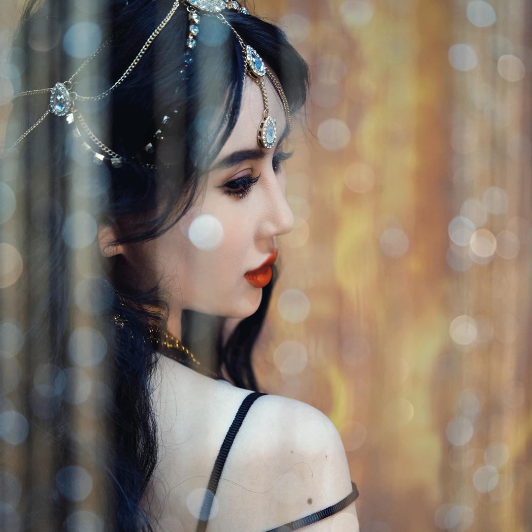 茶茶狸