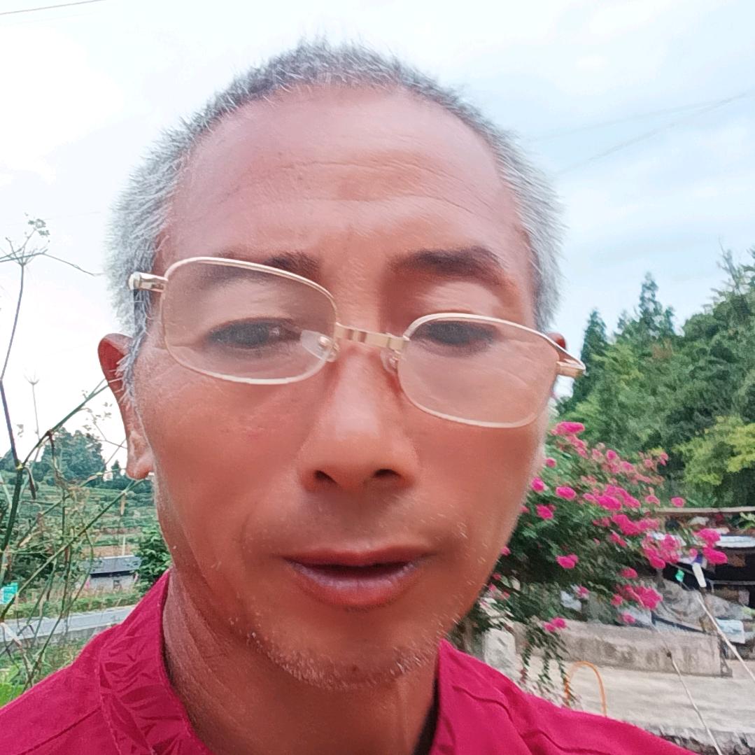 🇨🇳老蜂邦🪆蜂邦主，蜂子哥