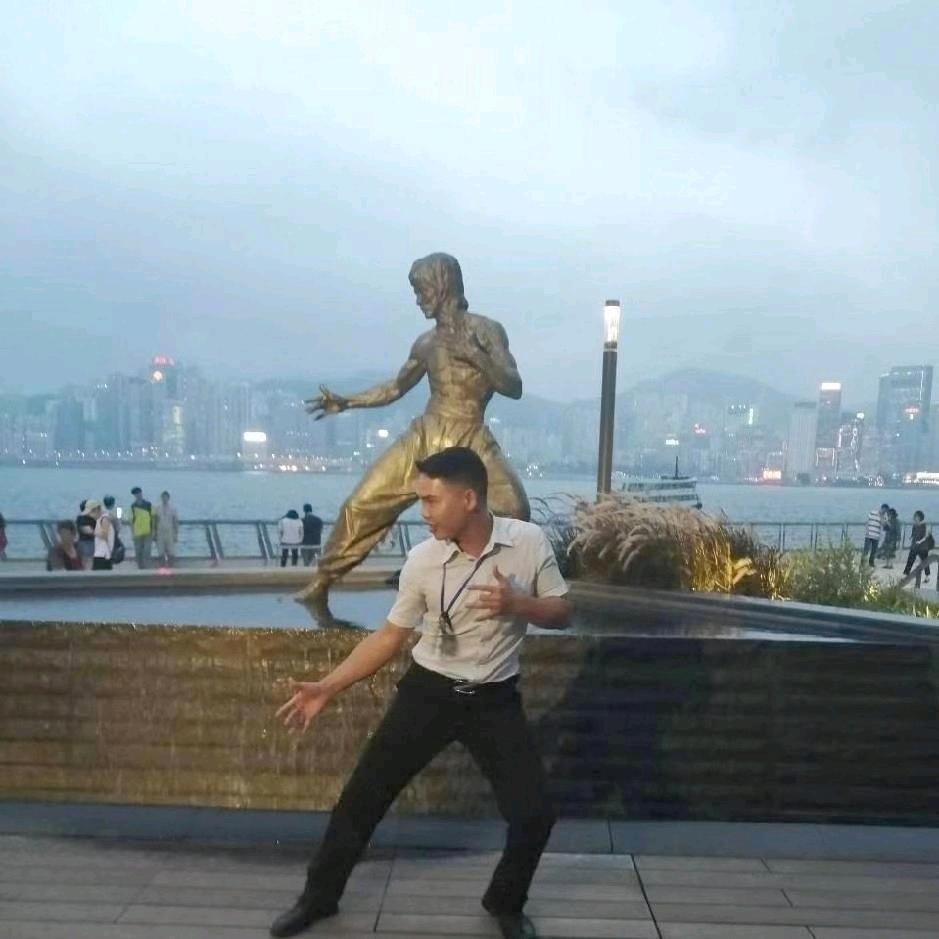 樹上的叶子