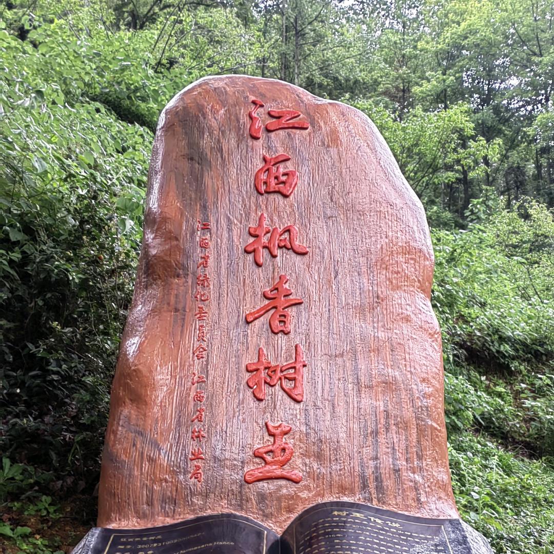雯雯大舌头