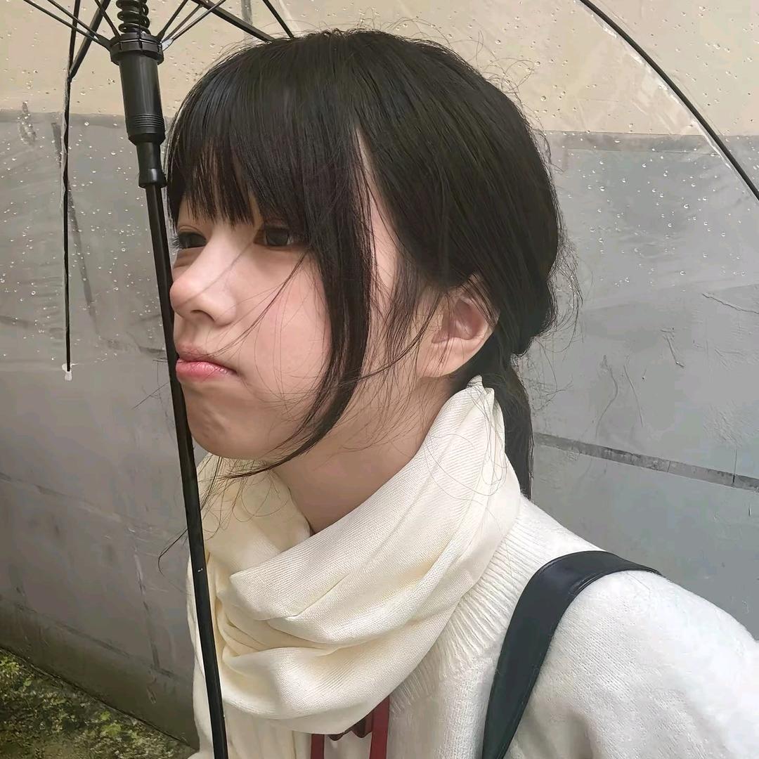 两只猫