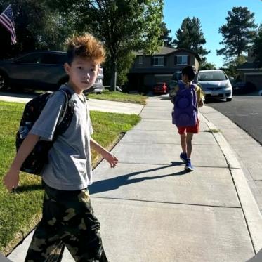 半导体牛马🐮（内推极速入职版）