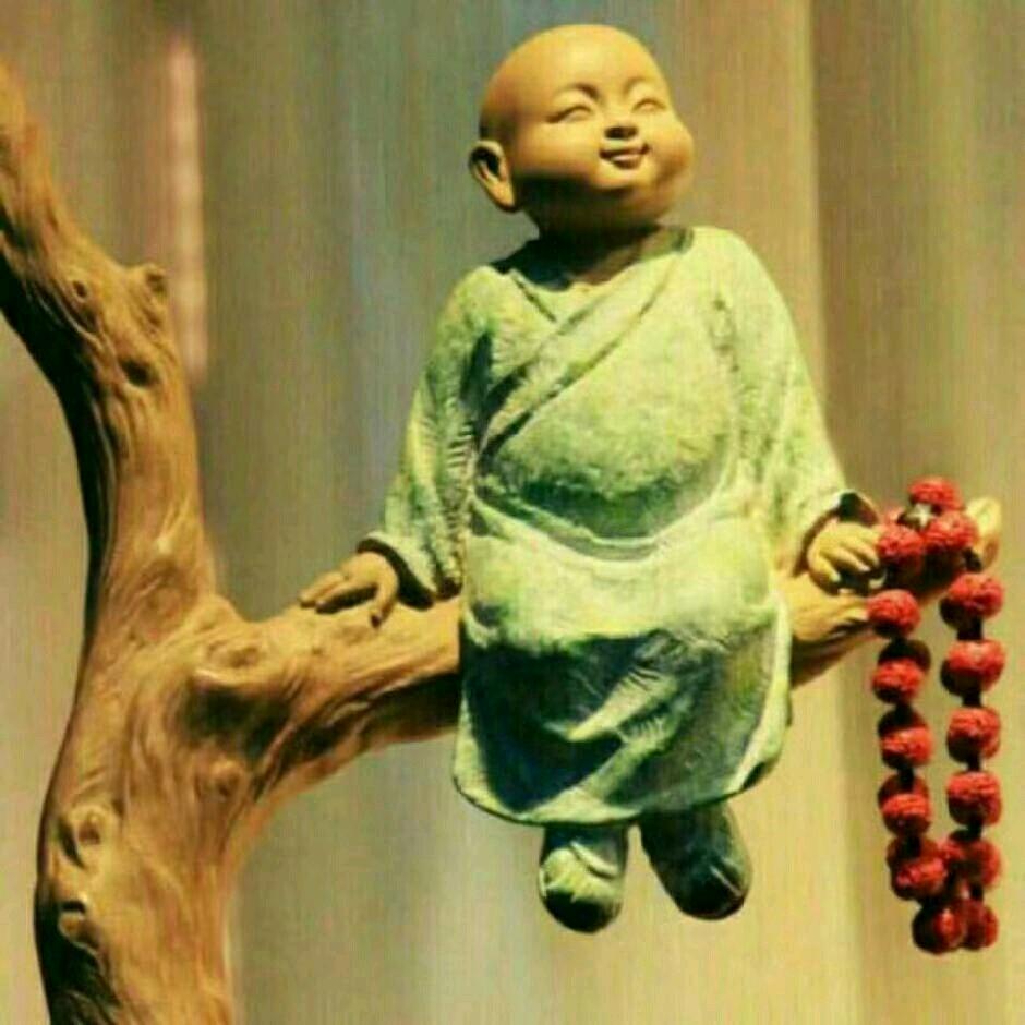 🇨🇳幸福树🇨🇳