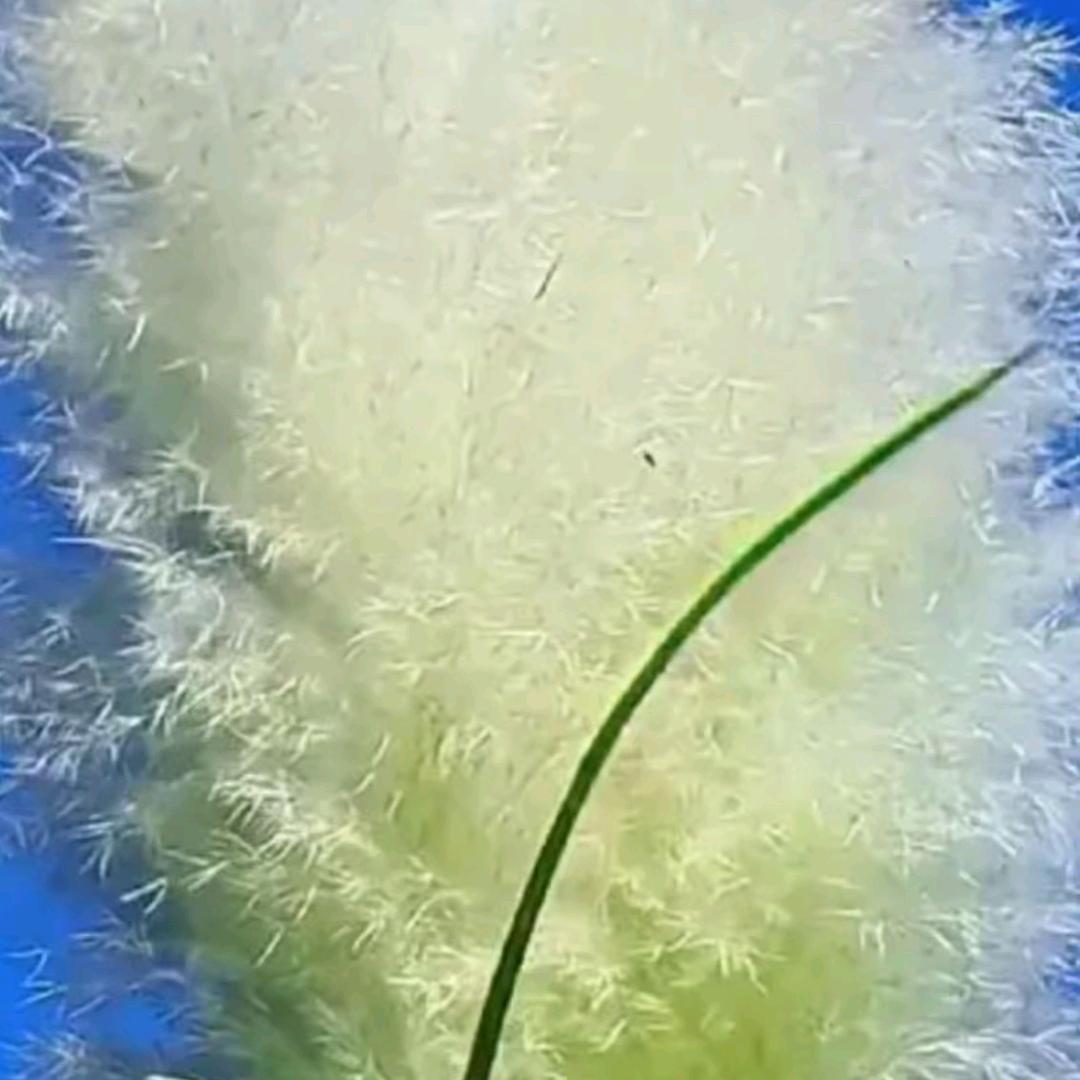 追梦
