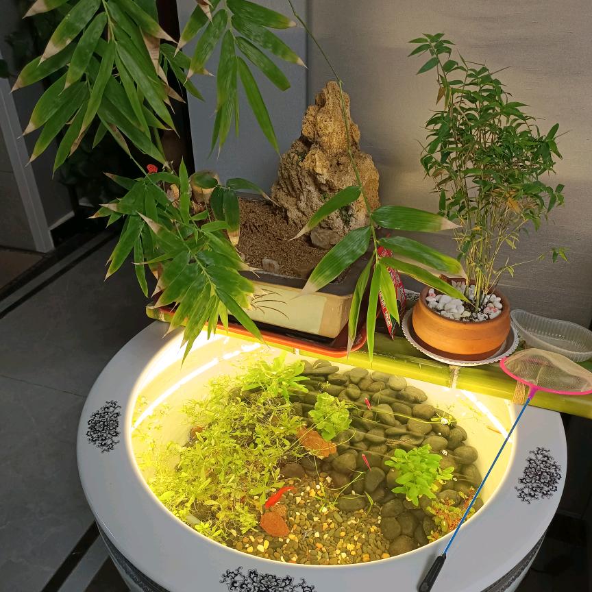 大成（水果人）