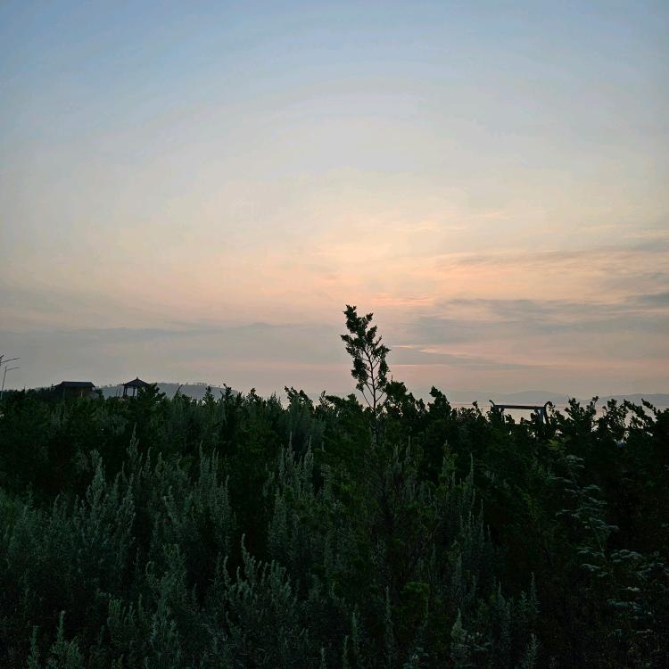 万虹广场vivo体验店