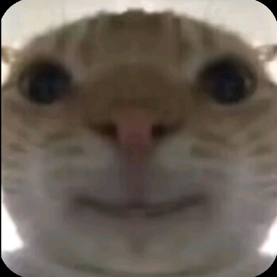 匕何叶