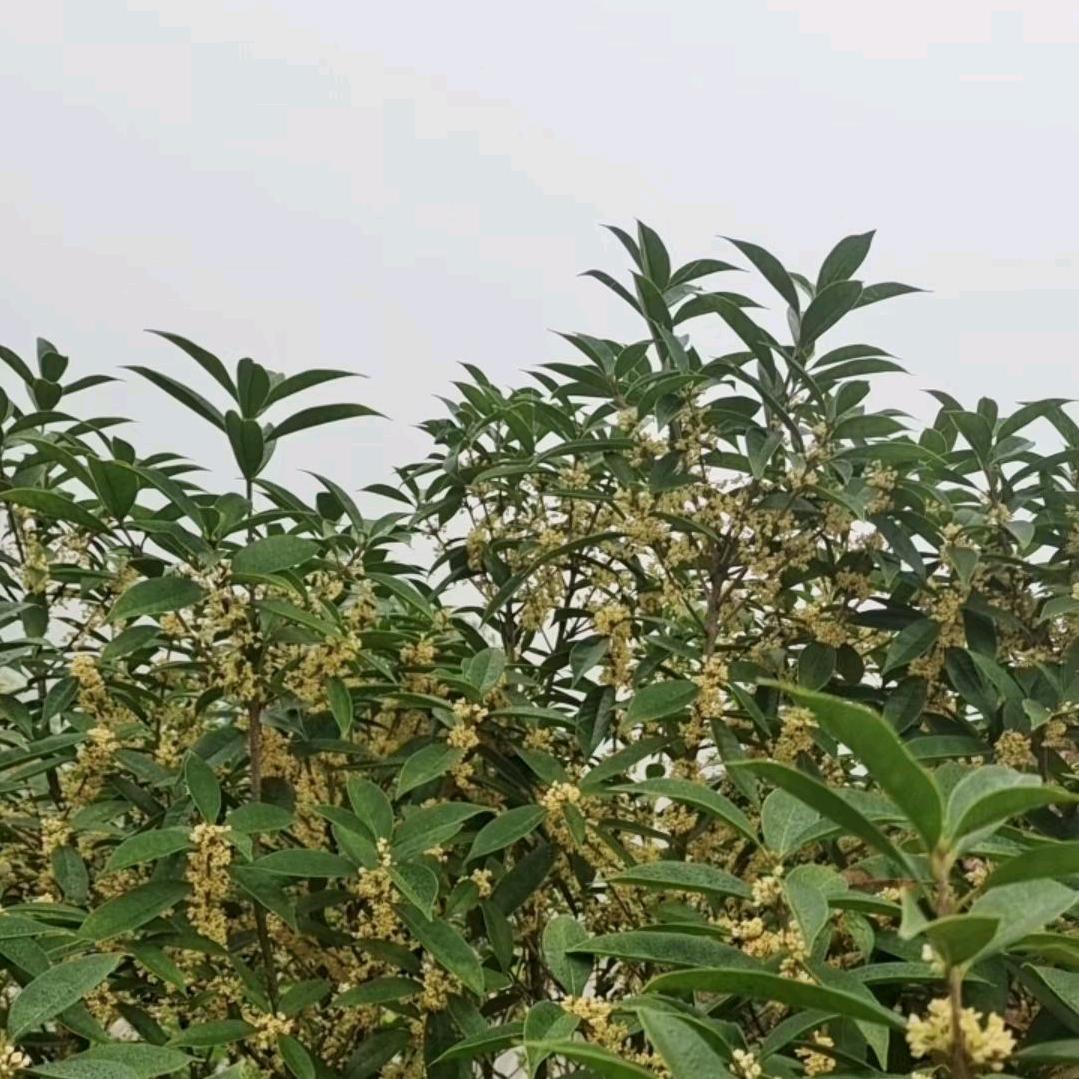 我的人生我做主