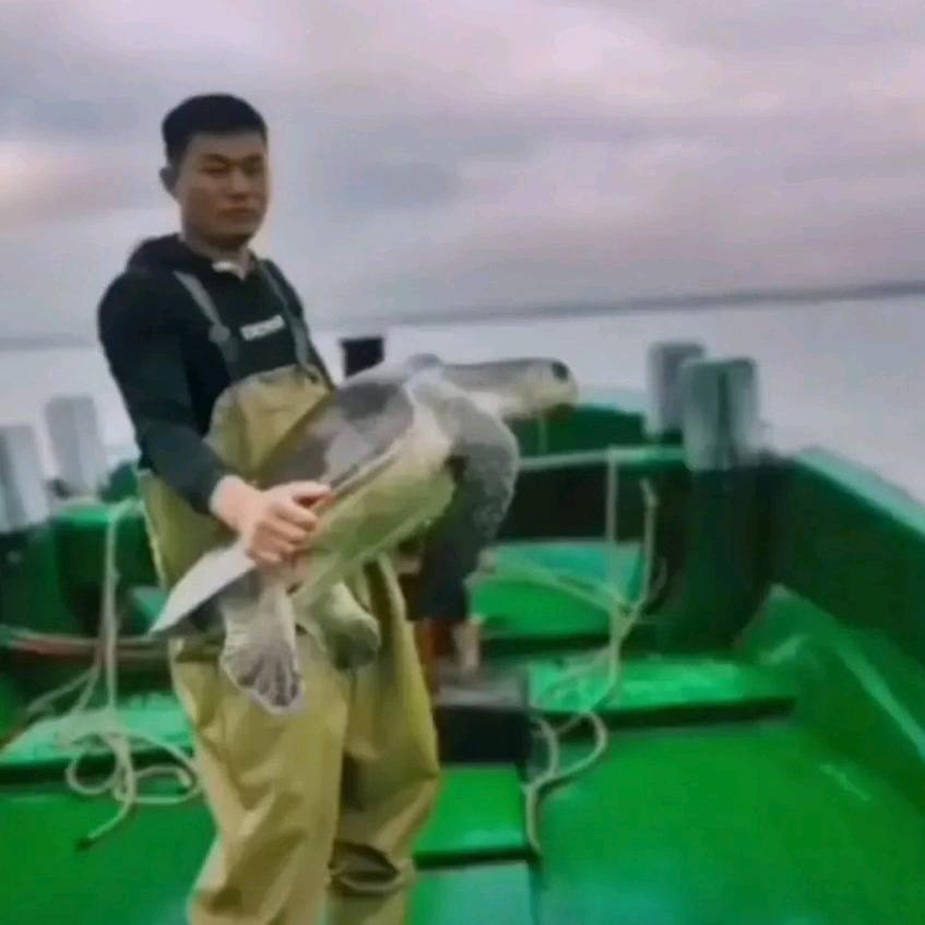 🐠海鲜大咖🐠