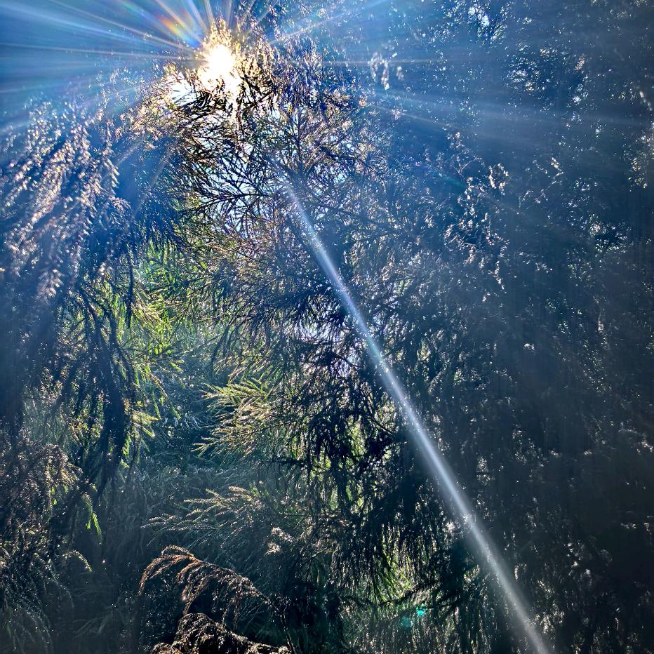 大市场喜缘圆糖酒