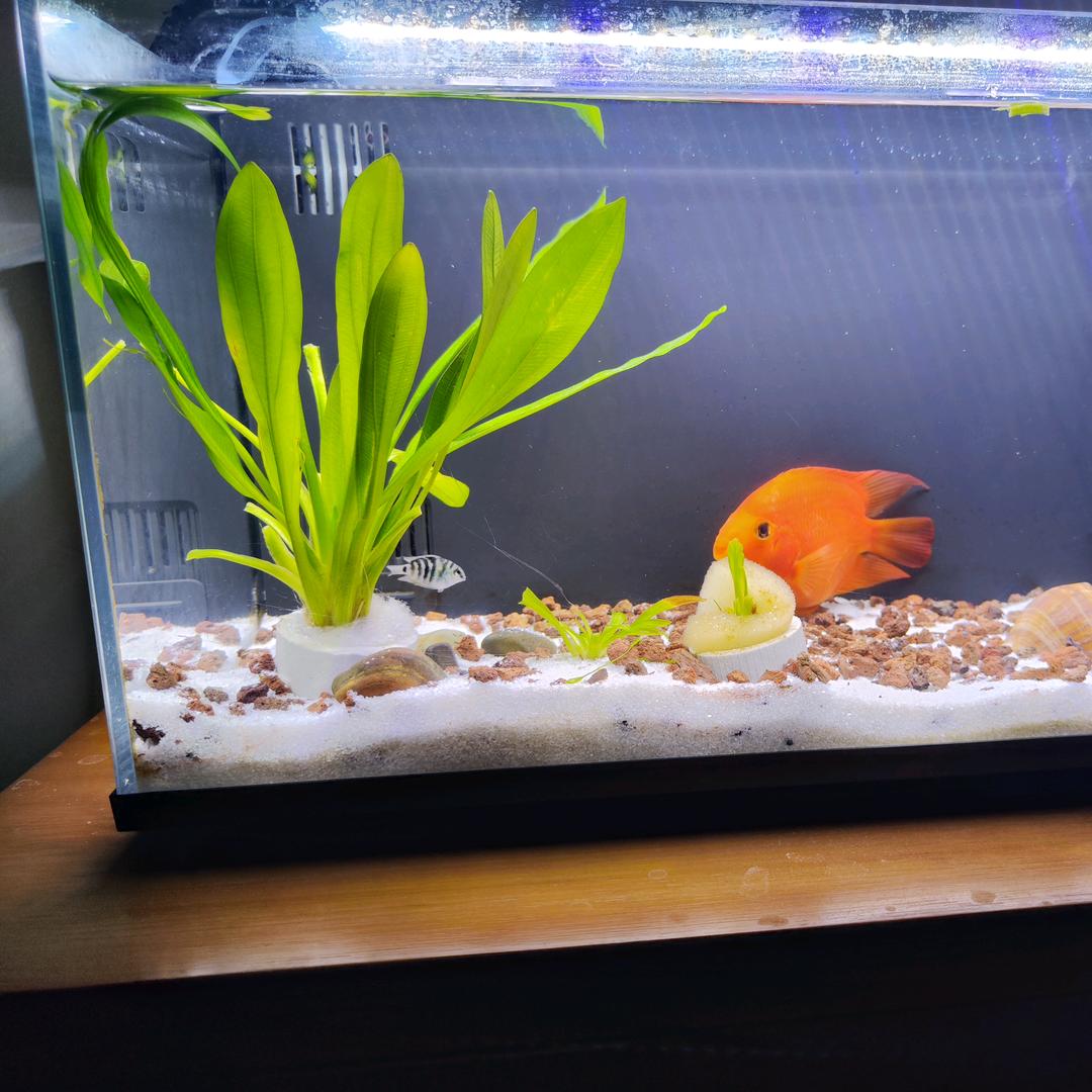 电子方案开发-文哥