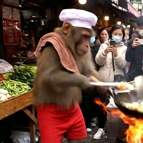 可爱的猴子（雨笙）