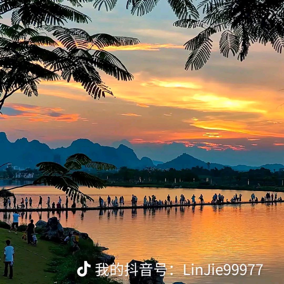 🌻眼前皆岁月🌻