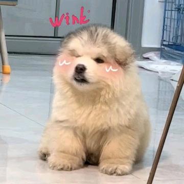 重获青春的李昕玥头像