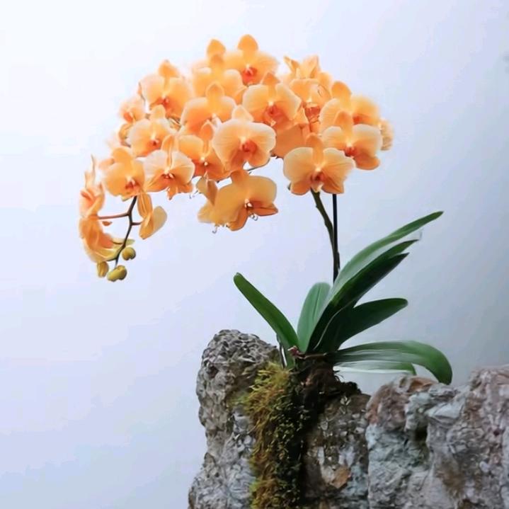 ❤️文少💞不见面不等于不想念❤