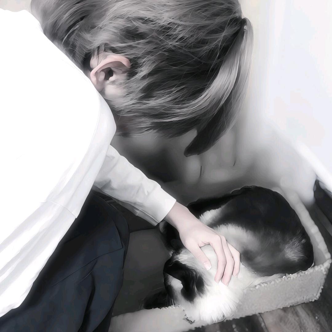 小忧郁（国服火箭喷包）