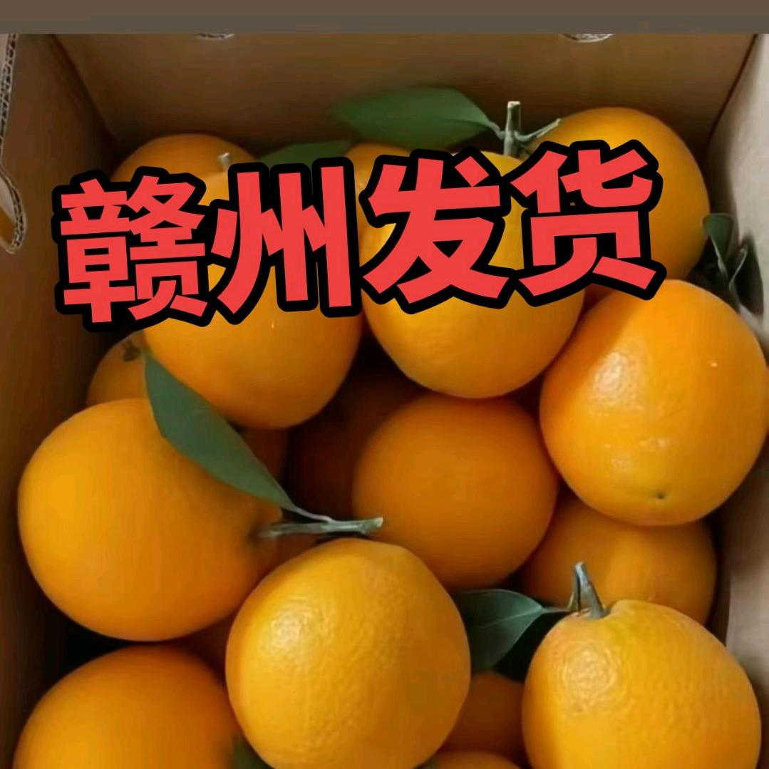 赣南脐橙