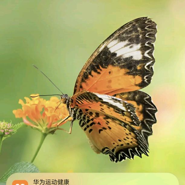 睢宁精神小伙