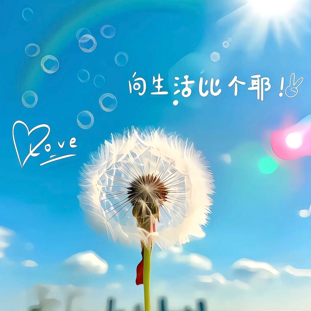 时来运转 ˶╹ꇴ╹˶