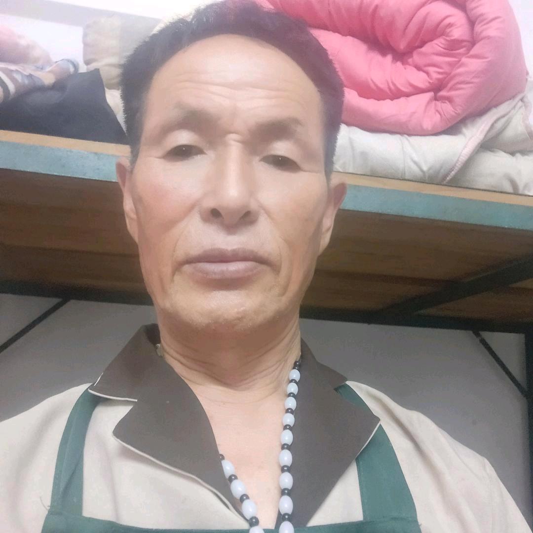 不老松