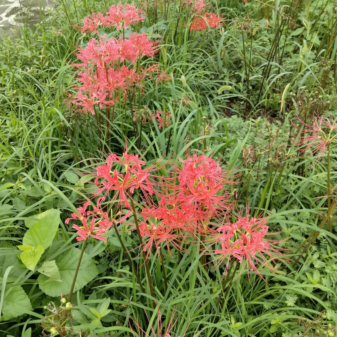 宝贝¹²⁰⁶🍀🦋