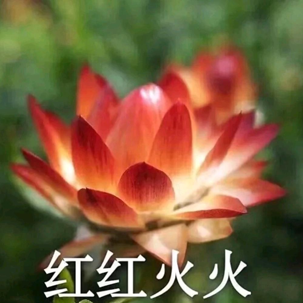 你该知我难遇