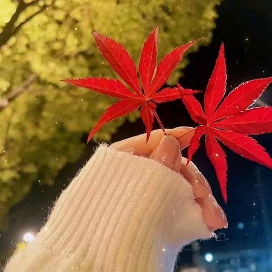摩天轮🎡
