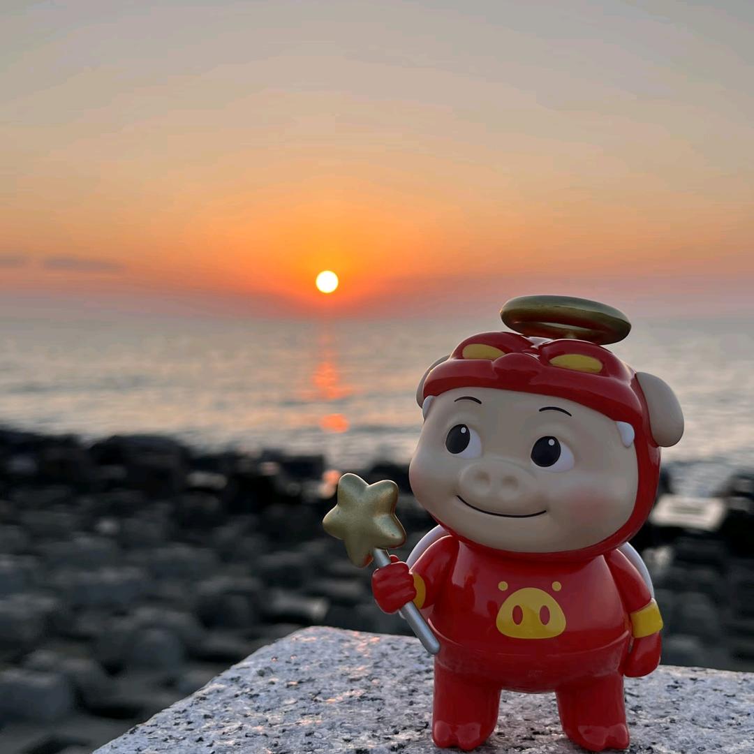 幸运发财猪猪bond