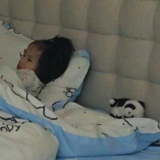 左左小萝卜豆