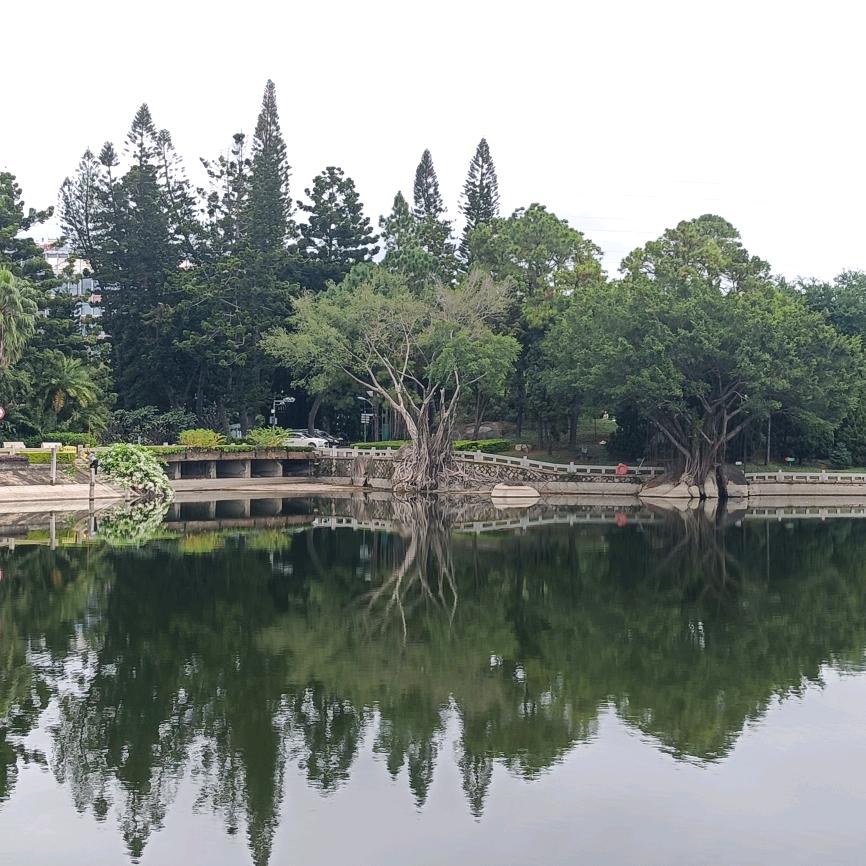 一路向前