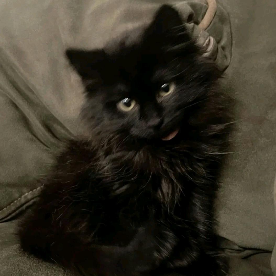=)